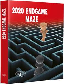 2020 Endgame Maze. Hardcover